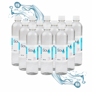 Pack 12 botellas PET no retornable 500cc